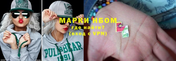 ПСИЛОЦИБИНОВЫЕ ГРИБЫ Абаза