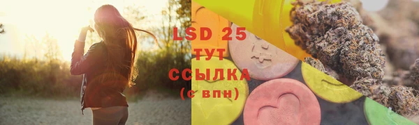 ПСИЛОЦИБИНОВЫЕ ГРИБЫ Абаза