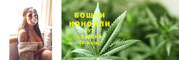 ПСИЛОЦИБИНОВЫЕ ГРИБЫ Абаза