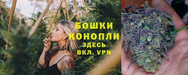 ПСИЛОЦИБИНОВЫЕ ГРИБЫ Абаза
