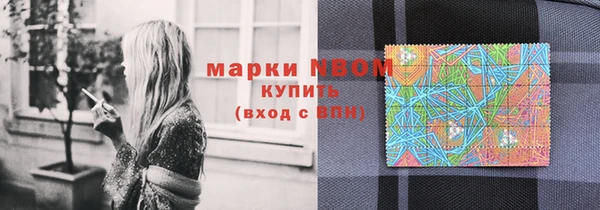 ПСИЛОЦИБИНОВЫЕ ГРИБЫ Абаза