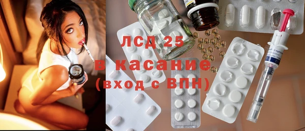 ПСИЛОЦИБИНОВЫЕ ГРИБЫ Абаза